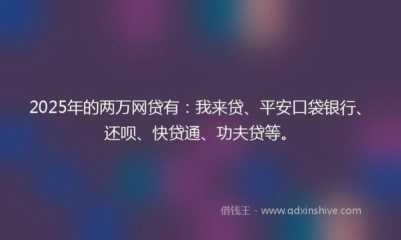 2025年的两万网贷有：我来贷、平安口袋银行、还呗、快贷通、功夫贷等。