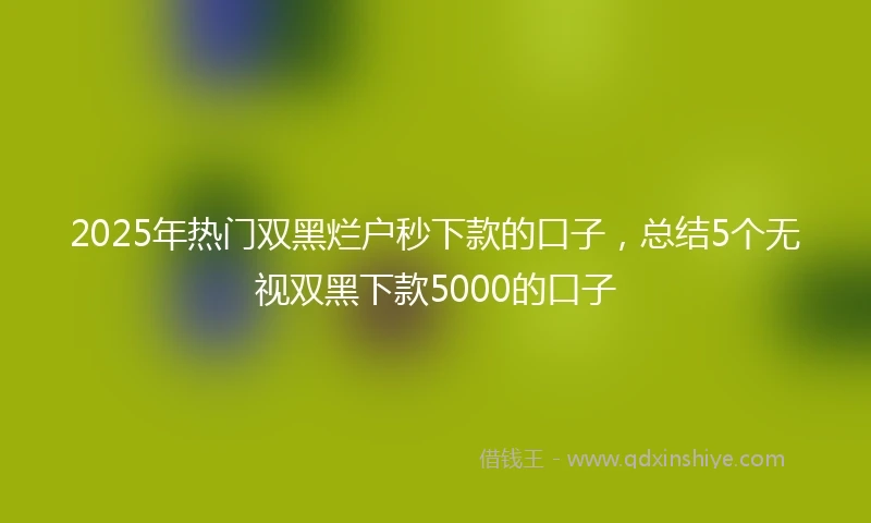 2025年热门双黑烂户秒下款的口子，总结5个无视双黑下款5000的口子