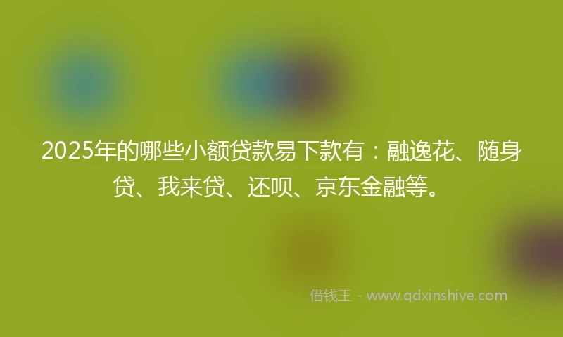 2025年的哪些小额贷款易下款有：融逸花、随身贷、我来贷、还呗、京东金融等。