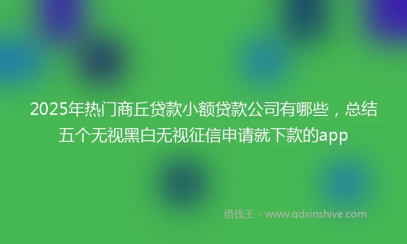 2025年热门商丘贷款小额贷款公司有哪些，总结五个无视黑白无视征信申请就下款的app