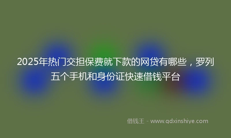 2025年热门交担保费就下款的网贷有哪些，罗列五个手机和身份证快速借钱平台