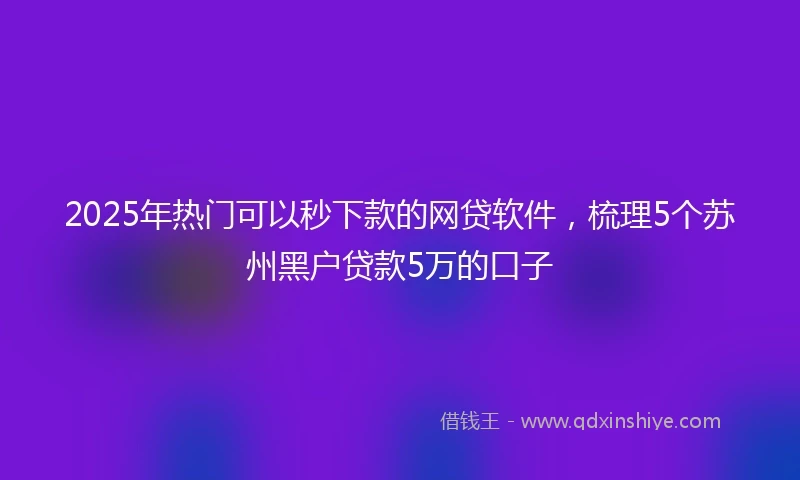 2025年热门可以秒下款的网贷软件，梳理5个苏州黑户贷款5万的口子