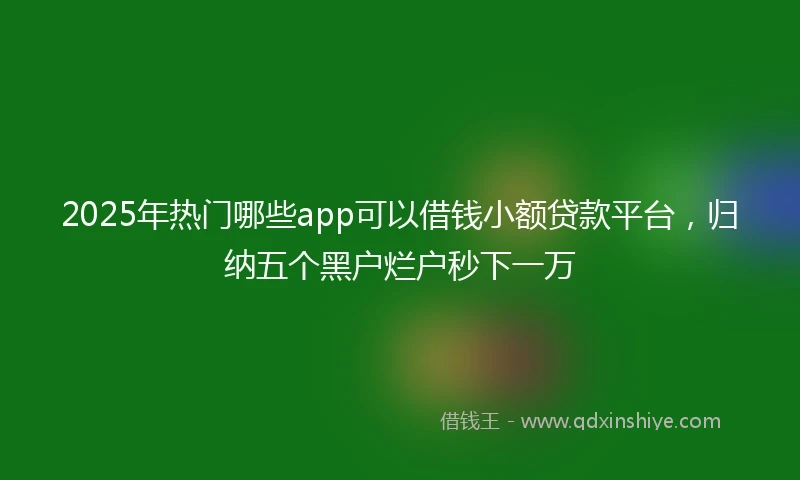 2025年热门哪些app可以借钱小额贷款平台，归纳五个黑户烂户秒下一万