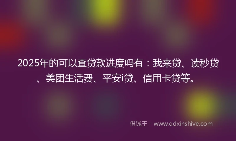 2025年的可以查贷款进度吗有：我来贷、读秒贷、美团生活费、平安i贷、信用卡贷等。