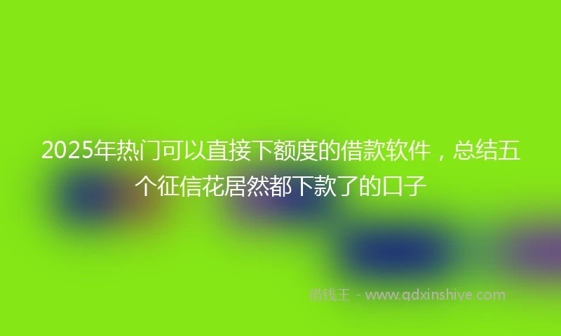 2025年热门可以直接下额度的借款软件，总结五个征信花居然都下款了的口子