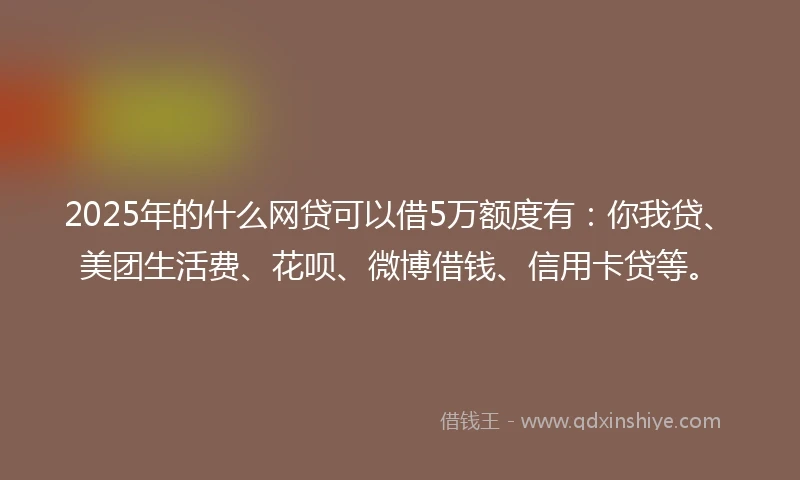 2025年的什么网贷可以借5万额度有：你我贷、美团生活费、花呗、微博借钱、信用卡贷等。