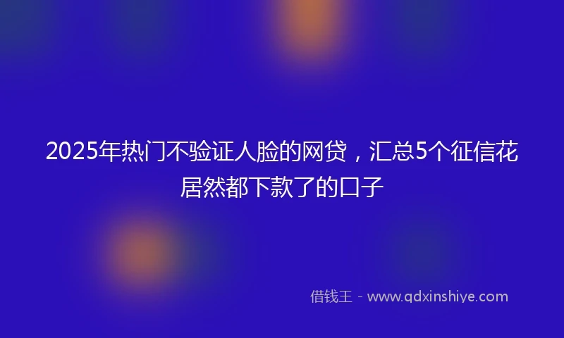2025年热门不验证人脸的网贷，汇总5个征信花居然都下款了的口子