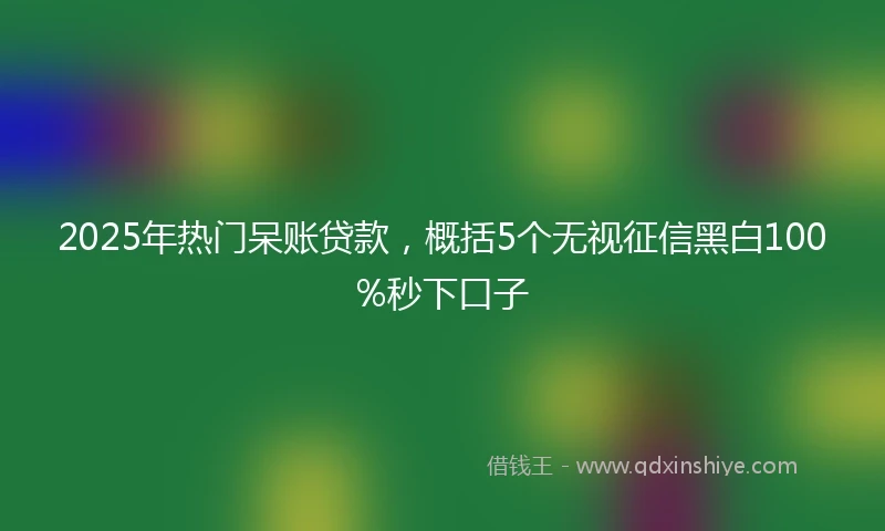 2025年热门呆账贷款,概括5个无视征信黑白100%秒下口子