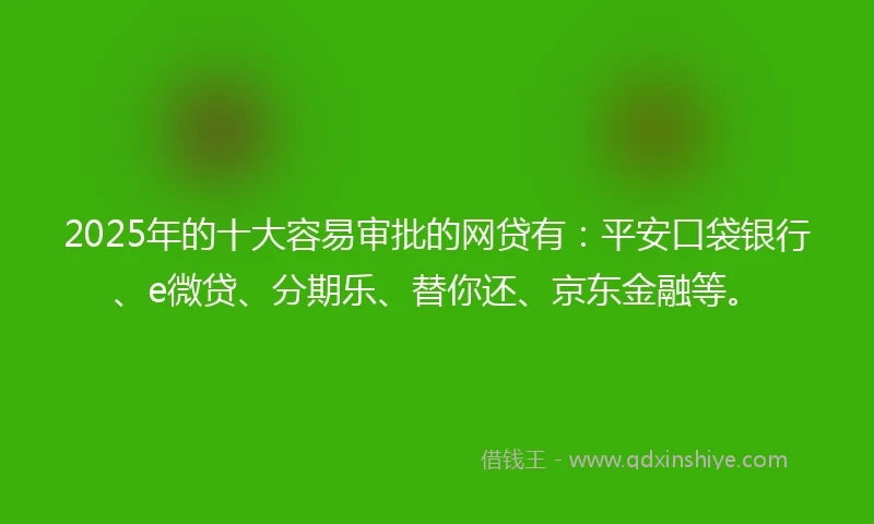 2025年的十大容易审批的网贷有：平安口袋银行、e微贷、分期乐、替你还、京东金融等。