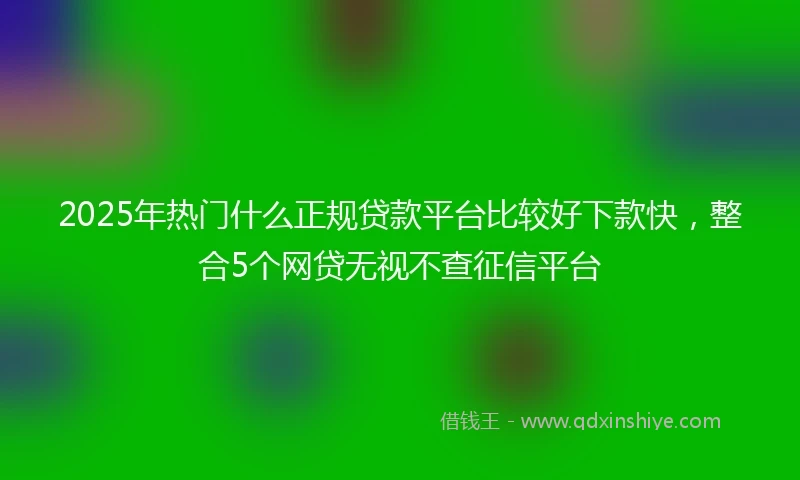 2025年热门什么正规贷款平台比较好下款快，整合5个网贷无视不查征信平台
