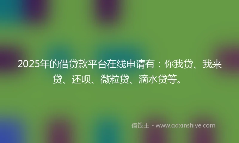 2025年的借贷款平台在线申请有：你我贷、我来贷、还呗、微粒贷、滴水贷等。