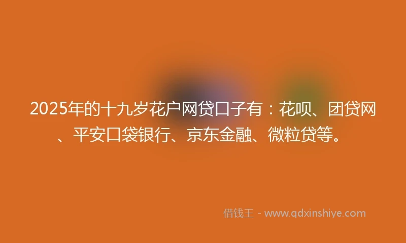 2025年的十九岁花户网贷口子有：花呗、团贷网、平安口袋银行、京东金融、微粒贷等。
