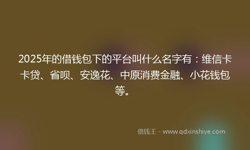 2025年的借钱包下的平台叫什么名字有：维信卡卡贷、省呗、安逸花、中原消费金融、小花钱包等。