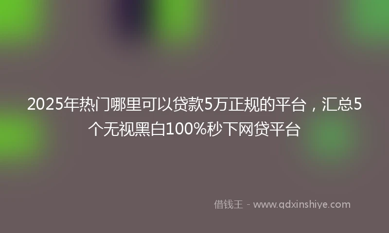 2025年热门哪里可以贷款5万正规的平台，汇总5个无视黑白100%秒下网贷平台