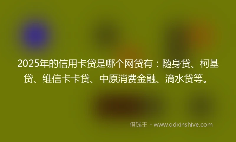 2025年的信用卡贷是哪个网贷有：随身贷、柯基贷、维信卡卡贷、中原消费金融、滴水贷等。