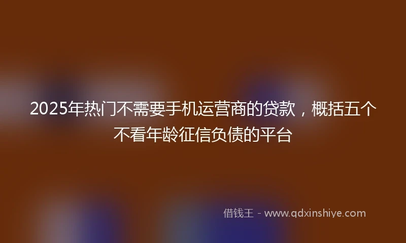 2025年热门不需要手机运营商的贷款,概括五个不看年龄征信负债的平台