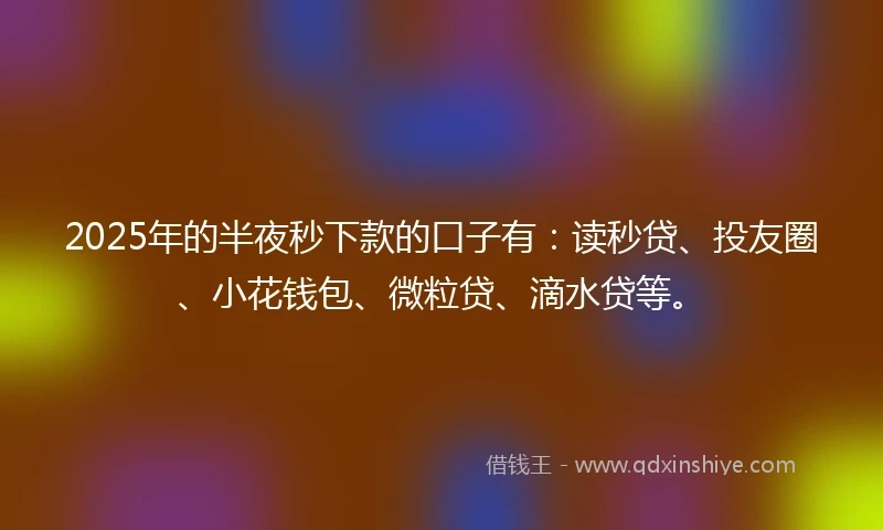 2025年的半夜秒下款的口子有：读秒贷、投友圈、小花钱包、微粒贷、滴水贷等。