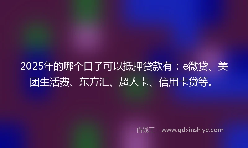 2025年的哪个口子可以抵押贷款有：e微贷、美团生活费、东方汇、超人卡、信用卡贷等。