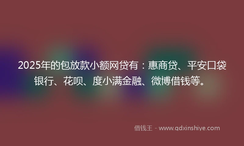 2025年的包放款小额网贷有：惠商贷、平安口袋银行、花呗、度小满金融、微博借钱等。