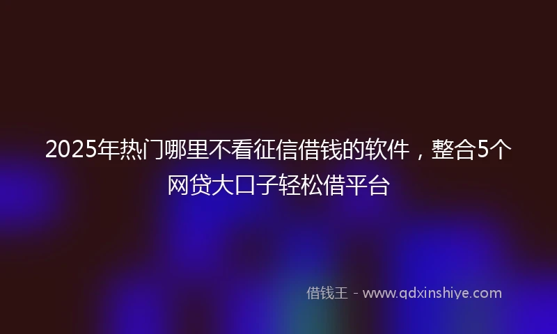 2025年热门哪里不看征信借钱的软件，整合5个网贷大口子轻松借平台