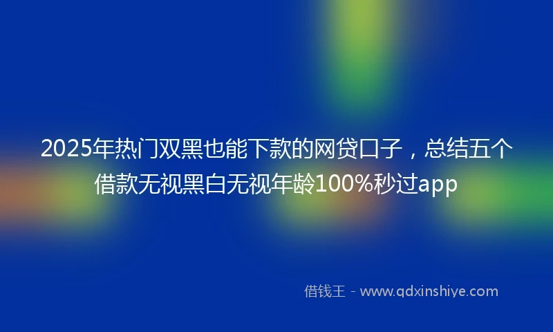 2025年热门双黑也能下款的网贷口子，总结五个借款无视黑白无视年龄100%秒过app