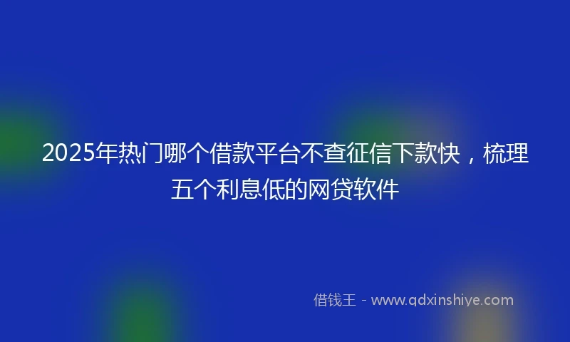 2025年热门哪个借款平台不查征信下款快，梳理五个利息低的网贷软件