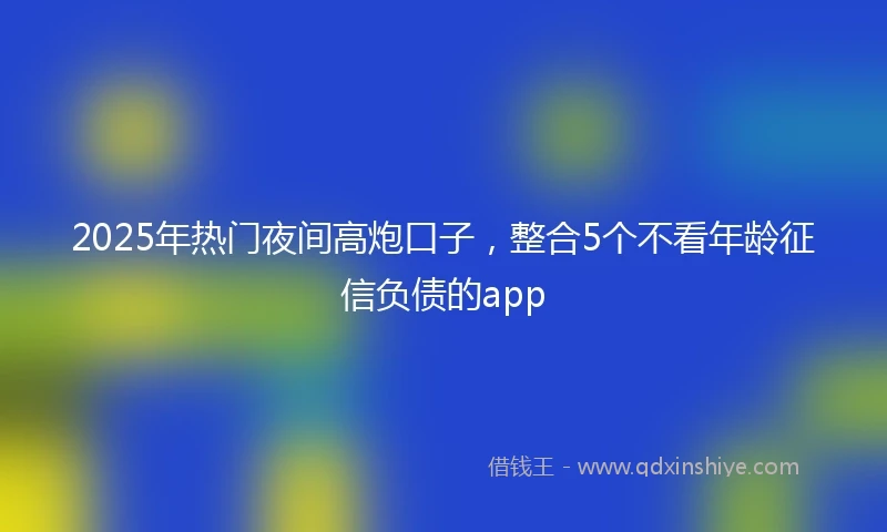 2025年热门夜间高炮口子，整合5个不看年龄征信负债的app