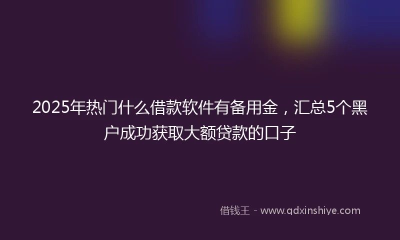 2025年热门什么借款软件有备用金,汇总5个黑户成功获取大额贷款的口子