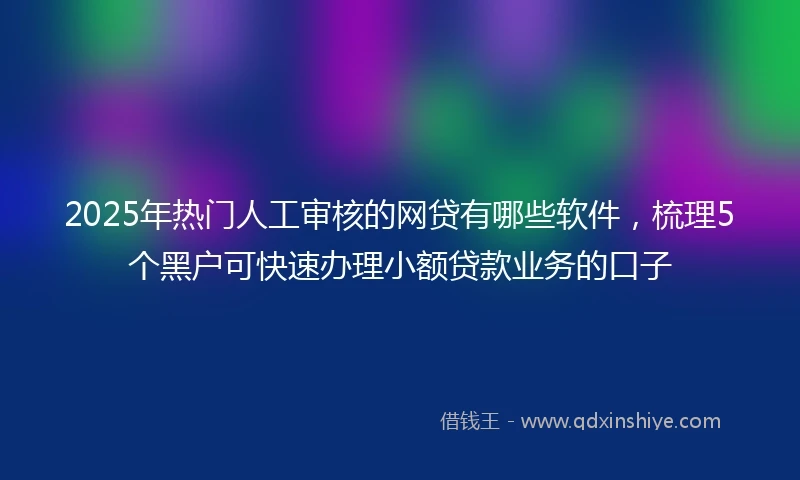 2025年热门人工审核的网贷有哪些软件，梳理5个黑户可快速办理小额贷款业务的口子