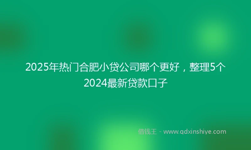 2025年热门合肥小贷公司哪个更好，整理5个2024最新贷款口子
