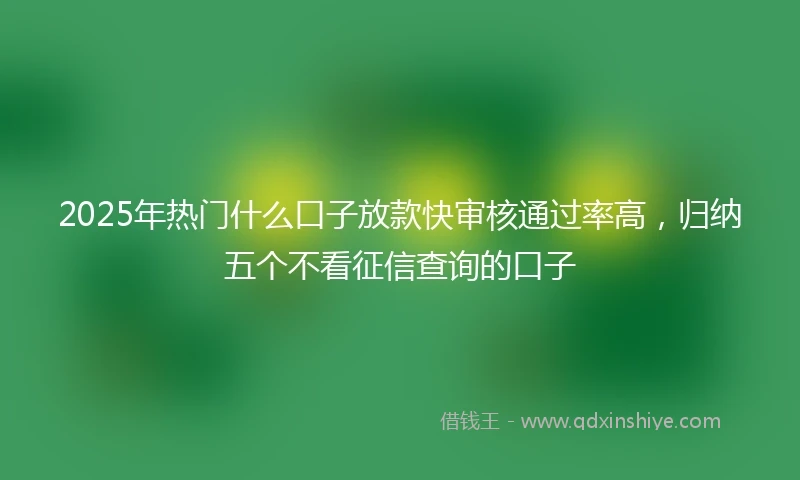 2025年热门什么口子放款快审核通过率高，归纳五个不看征信查询的口子