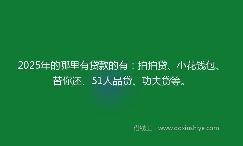2025年的哪里有贷款的有：拍拍贷、小花钱包、替你还、51人品贷、功夫贷等。