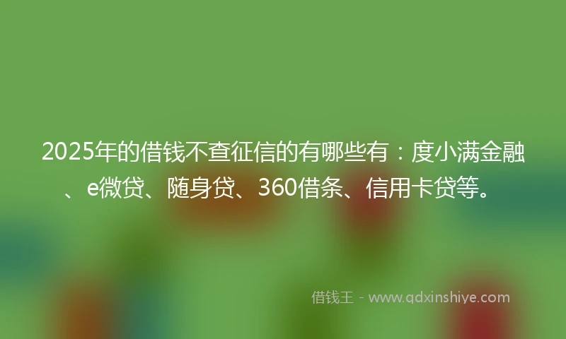 2025年的借钱不查征信的有哪些有：度小满金融、e微贷、随身贷、360借条、信用卡贷等。