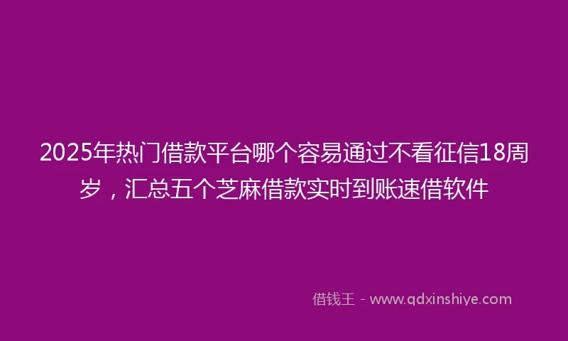 2025年热门借款平台哪个容易通过不看征信18周岁，汇总五个芝麻借款实时到账速借软件