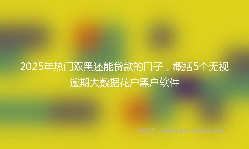2025年热门双黑还能贷款的口子，概括5个无视逾期大数据花户黑户软件