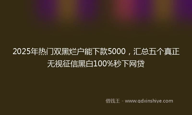 2025年热门双黑烂户能下款5000，汇总五个真正无视征信黑白100%秒下网贷