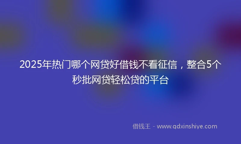 2025年热门哪个网贷好借钱不看征信，整合5个秒批网贷轻松贷的平台