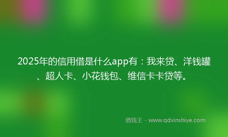 2025年的信用借是什么app有:我来贷、洋钱罐、超人卡、小花钱包、维信卡卡贷等。