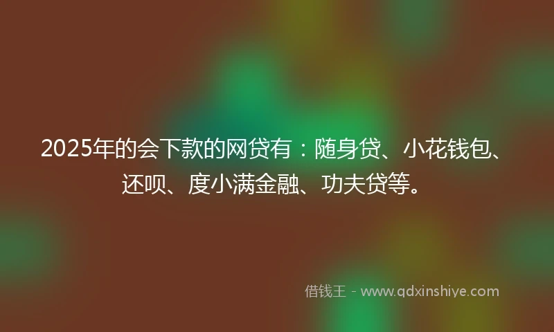 2025年的会下款的网贷有：随身贷、小花钱包、还呗、度小满金融、功夫贷等。
