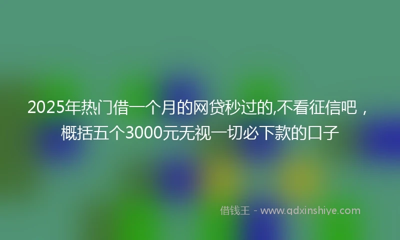 2025年热门借一个月的网贷秒过的,不看征信吧，概括五个3000元无视一切必下款的口子