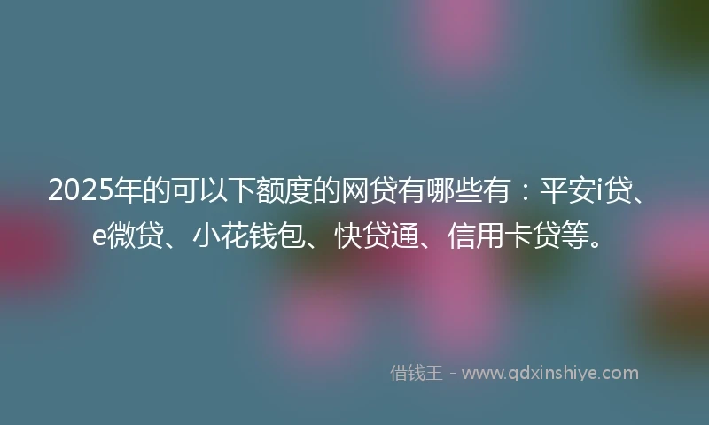 2025年的可以下额度的网贷有哪些有：平安i贷、e微贷、小花钱包、快贷通、信用卡贷等。