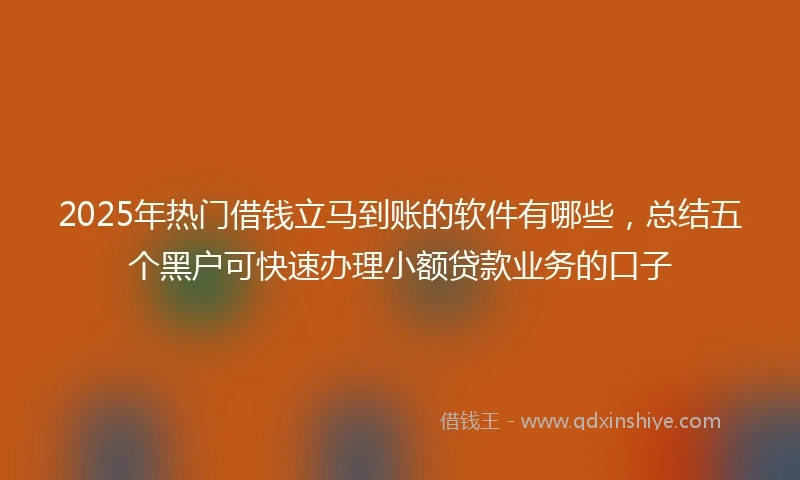 2025年热门借钱立马到账的软件有哪些，总结五个黑户可快速办理小额贷款业务的口子