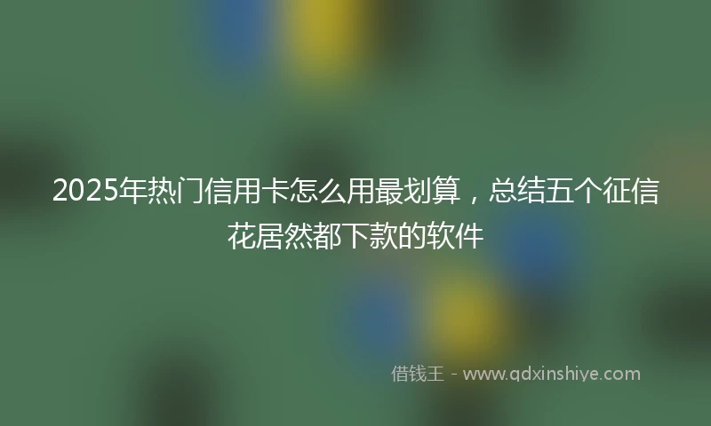 2025年热门信用卡怎么用最划算，总结五个征信花居然都下款的软件