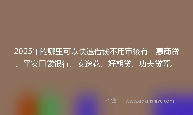 2025年的哪里可以快速借钱不用审核有：惠商贷、平安口袋银行、安逸花、好期贷、功夫贷等。