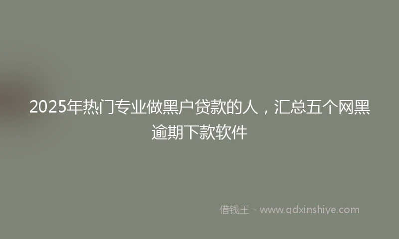2025年热门专业做黑户贷款的人，汇总五个网黑逾期下款软件