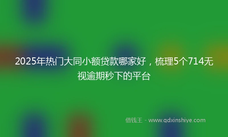2025年热门大同小额贷款哪家好，梳理5个714无视逾期秒下的平台