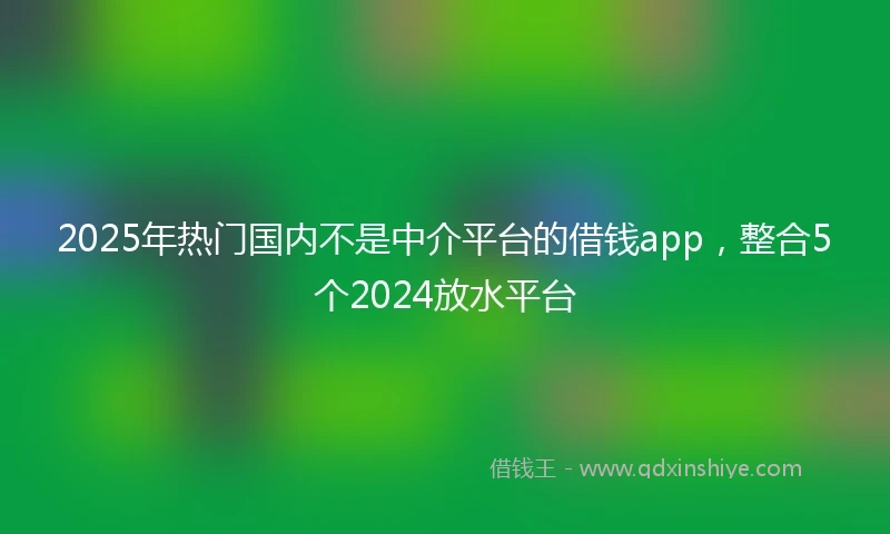 2025年热门国内不是中介平台的借钱app，整合5个2024放水平台