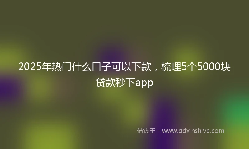 2025年热门什么口子可以下款，梳理5个5000块贷款秒下app