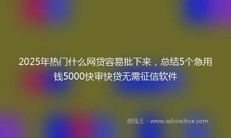 2025年热门什么网贷容易批下来，总结5个急用钱5000快审快贷无需征信软件
