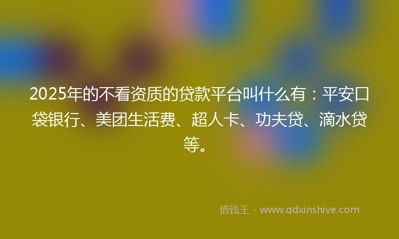 2025年的不看资质的贷款平台叫什么有:平安口袋银行、美团生活费、超人卡、功夫贷、滴水贷等。